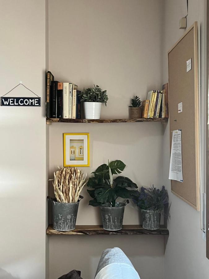 Apartamento Acogedor Pineta Bielsa Extérieur photo